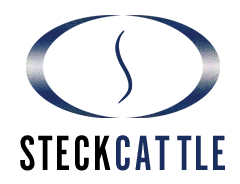 Steck Cattle
